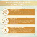 Mary Ruth's Lemon Balm Leaf Liquid Drops 30 ml